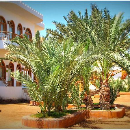 Shams Hotel & Dive Centre Dahab Kültér fotó