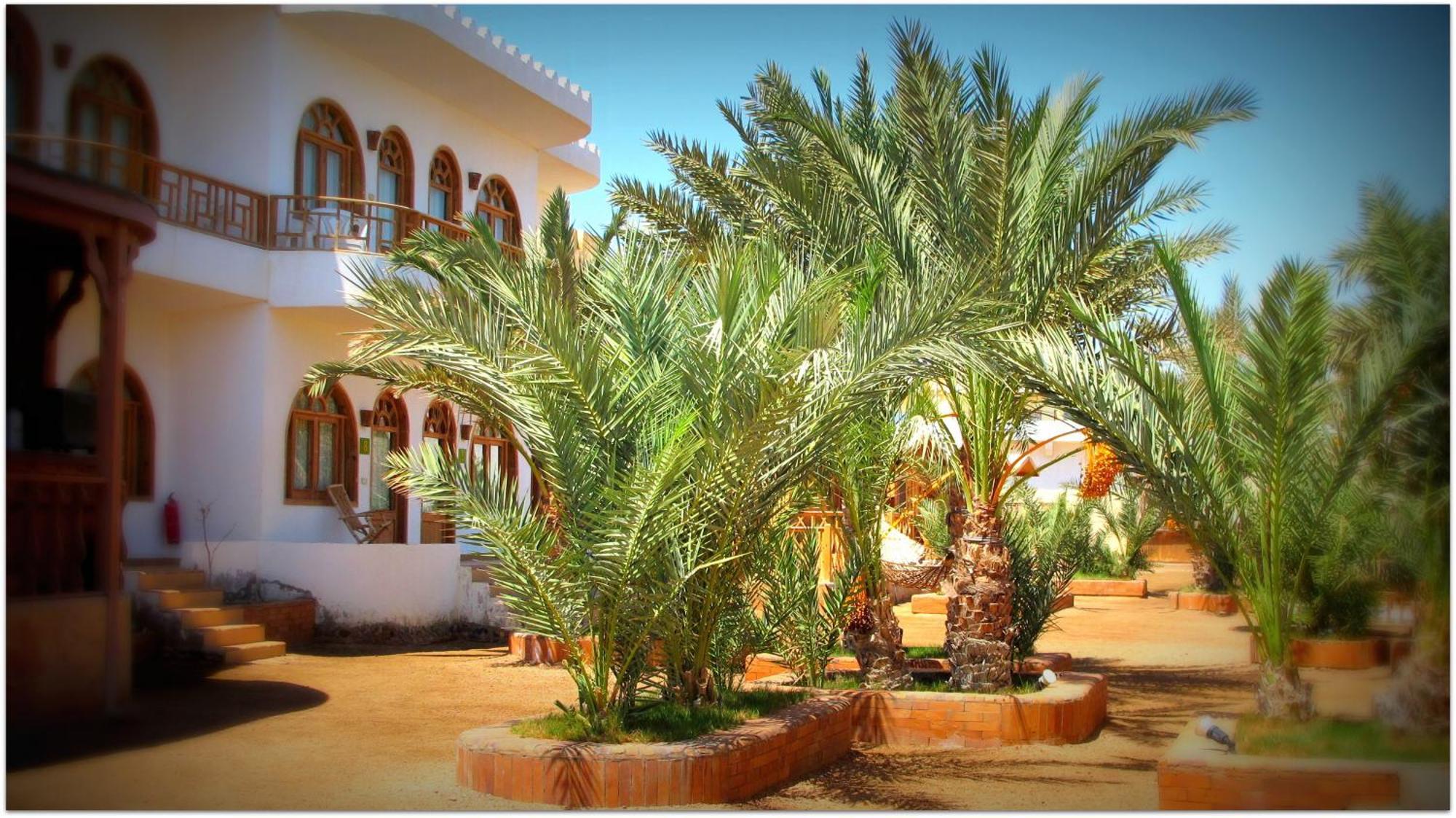 Shams Hotel & Dive Centre Dahab Kültér fotó